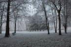inverno al parco inverno al parco
