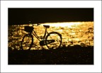 controluce bike controluce bike
