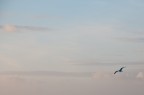 Sunset 7 Sunset 7
