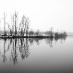 something in the nothing something in the nothing