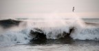 Waves Waves