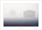Nella nebbia Nella nebbia