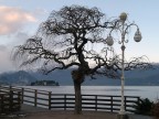 Lago Maggiore - Stresa Lago Maggiore - Stresa
