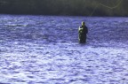 pescando pescando