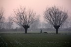 Passeggiata Passeggiata