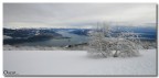 spettatori d'inverno.. spettatori d'inverno..