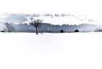 bianco con nero
