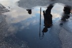 06-01-2010 06-01-2010