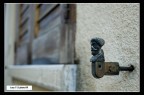 un piccolo ritratto un piccolo ritratto