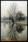 Riflessioni #2 Riflessioni #2