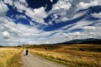 La Strada La Strada