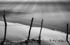 Controluce