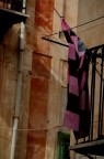 Palermo tra i vicoli Palermo tra i vicoli