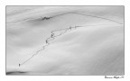 Fuori pista Fuori pista