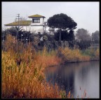 dipinto reale dipinto reale