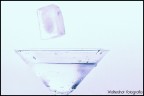 cold martini cold martini