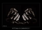 Vittima o carnefice? Vittima o carnefice?