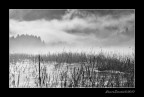 paesaggio siberiano paesaggio siberiano