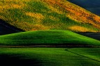 I colori dell'autunno I colori dell'autunno
