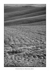 Colline Pisane Colline Pisane