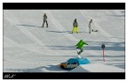 Bonk nosegrab?!?! Bonk nosegrab?!?!
