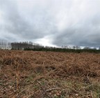 paesaggio 01 paesaggio 01