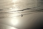 Silenzio Silenzio