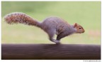 Panning