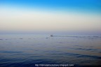 Respirando il mare Respirando il mare