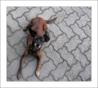 Amico (con la A maiuscola) ! Amico (con la A maiuscola) !