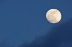 Luna Piena Luna Piena