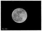 Luna
Canon 7d - 135 mm (216 fe) - 1/640 - f.5.6 iso 100 -Crop 200%-