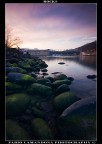rocks
