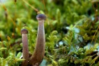 macro_1 macro_1