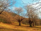 Passeggiata invernale Passeggiata invernale