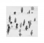 B|N B|N