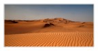 4 passi nel deserto 4 passi nel deserto