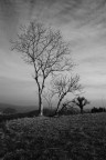 le tre età le tre età