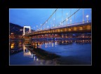 Elizabeth bridge