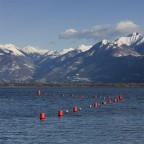 pomeriggio pomeriggio