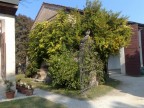 stalle di villa stalle di villa