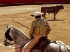 Hombre y toro esperan... Hombre y toro esperan...