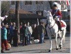 Lo scatto e' generico ma mi piace l'espressione distratta di tutti gli spettatori del corteo che lasciano sfilare il cavaliere nell'indifferenza generale......
E pensare che dovrebbe essere carnevale!!!