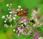 incontri ... incontri ...