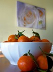 frutta di stagione