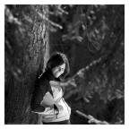 Norvegian wood 2 Norvegian wood 2