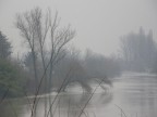 fiume Panaro-1