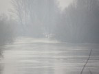 fiume Panaro-2