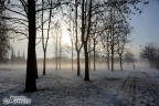 una mattina al Parco del Trenno