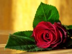 Something for Valentine Something for Valentine